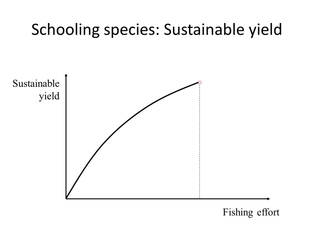 Schooling species: Sustainable yield Sustainable yield Fishing effort